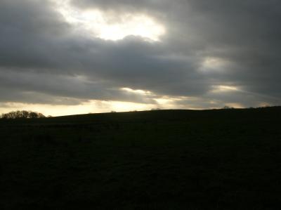 DSCN5108