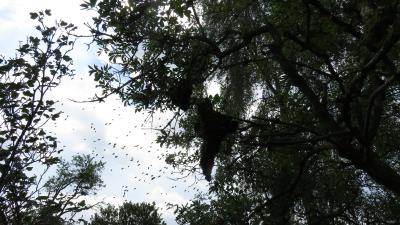 IMG_0278
