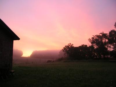 Schnitterin-2010-047