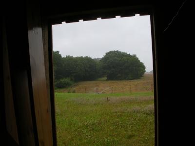 Schnitterin-2011-005