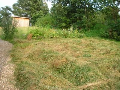 Schnitterin-2011-021