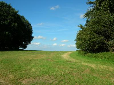 Schnitterin-2011-028