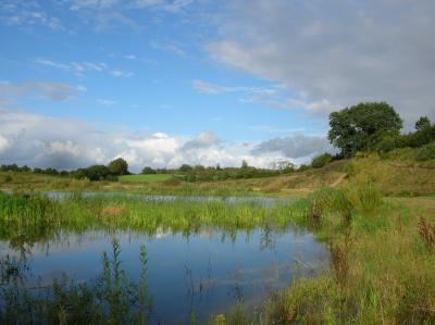 Schnitterin-2011-067