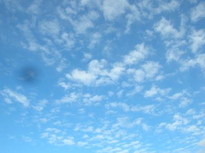 Schnitterin-2011-068