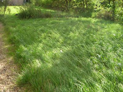 Schnitterin-2011-088