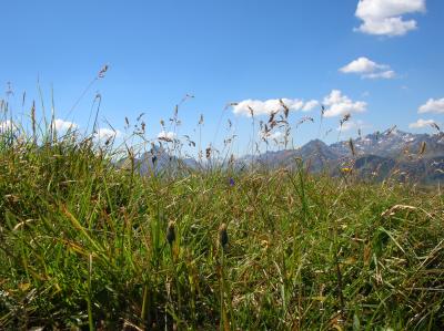 Schnitterin-2012-076