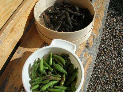 Schnitterin-2012-097