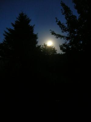 Schnitterin-2012-115