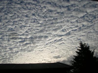 Schnitterin-2012-120