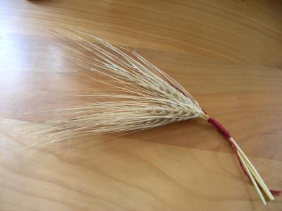 Schnitterin-2013-005