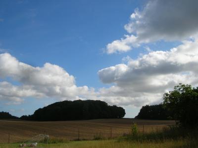 Schnitterin-2013-006