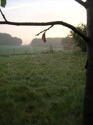 Schnitterin-2013-040