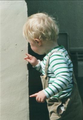Frieder untersucht ein Loch in der Mauer Frieder untersucht ein Loch in der Mauer