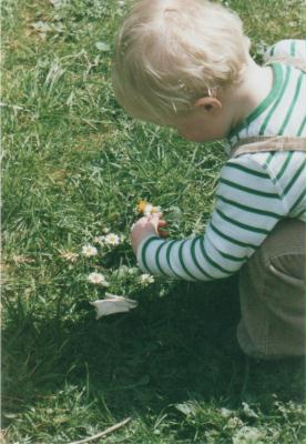 Frieder mit Gänseblümchen im Garten Frieder mit Gänseblümchen im Garten