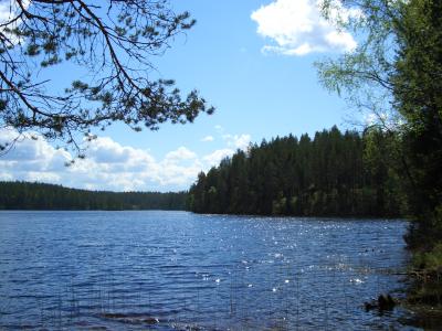 Petkeljarvi