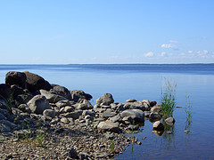 See-2