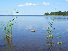 See-3