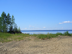 See-4