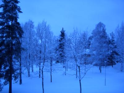 Winter