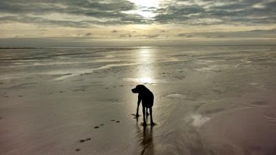 IMG_20151228_141248455_HDR