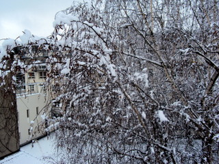 Schnee110119