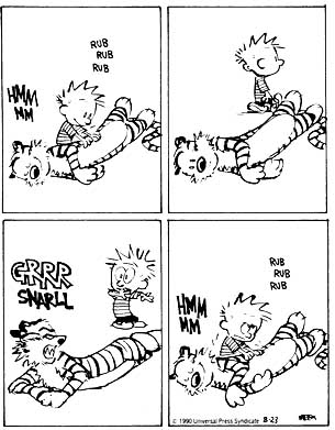 Calvin & Hobbes