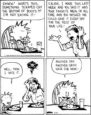 Calvin & Hobbes - Gray Hair