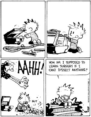 Calvin Ohne Hobbes