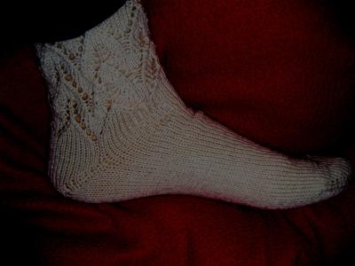 IMG_0737_1