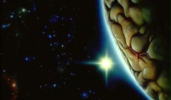 268-brainworld