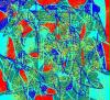 bild6