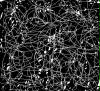 bild7