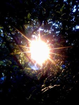 doppelsonne-treptower-park-und-spree