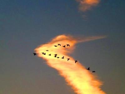 gleichzeitig-entgegengesetzt