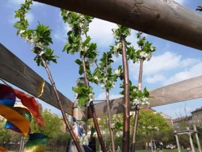 jahrestag-des-baeumchens