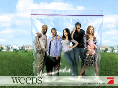 weeds_desk1_1024_768