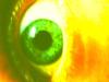 auge