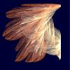 Fluegel