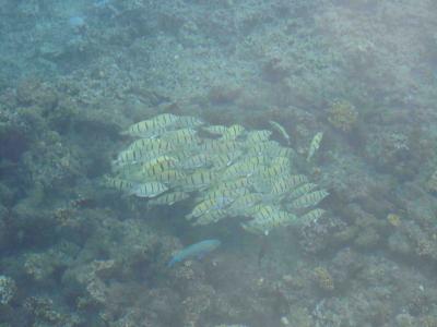 ff-foto-sebst-gemacht-