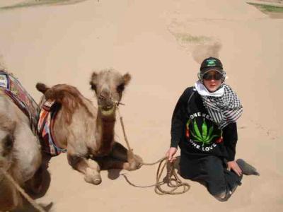kamel4