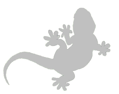 a_der_geko