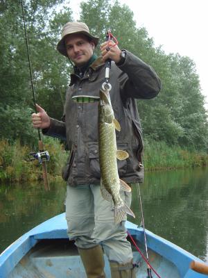 Einer der ganz wenigen Hechte dieses Sommers...kein Riese, aber besser als nichts...