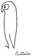 images1