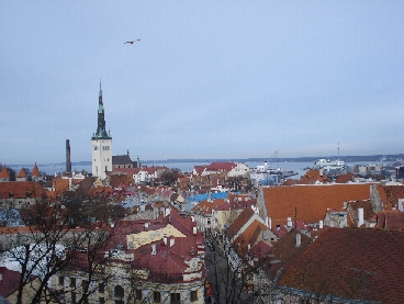 DSC01894a