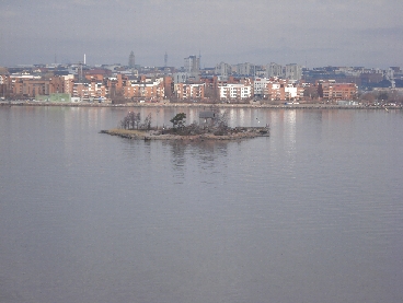 DSC01931a