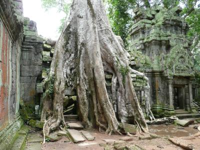 Ankgor Wat Tempel Anlage