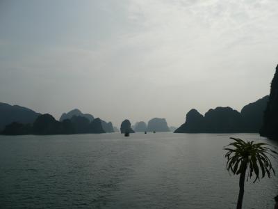 P1020490