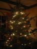 Christbaum-05