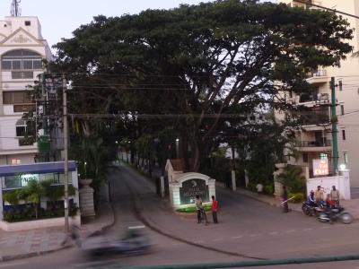 Hier ist die Zufahrt zu "Palm Meadows"