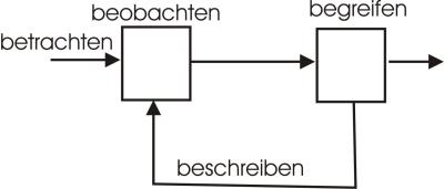 regelkreis-der-4Bs